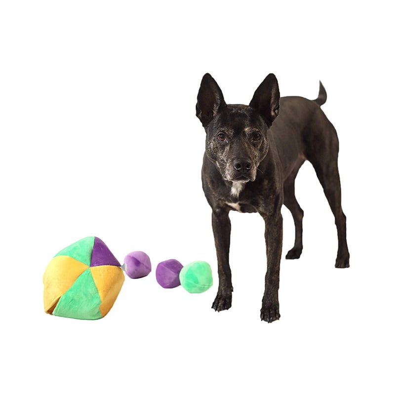Midlee Hide a Ball Dog Puzzle Toy with 8 Plush Squeaker Balls (Large) - Image 5